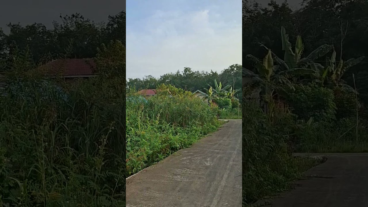 coba camera samsung A 56