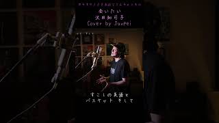 Download Lagu 会いたい　沢田知可子　カラオケ100点おじさん Unplugged cover #shorts MP3