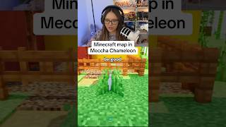 Minecraft Map in Meccha Chameleon!