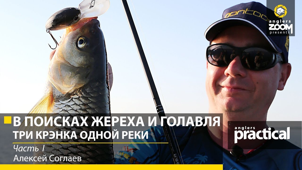 Алексей Шанин Новое Видео 2022 Года Алексей Шанин Новое Видео 2022 Года