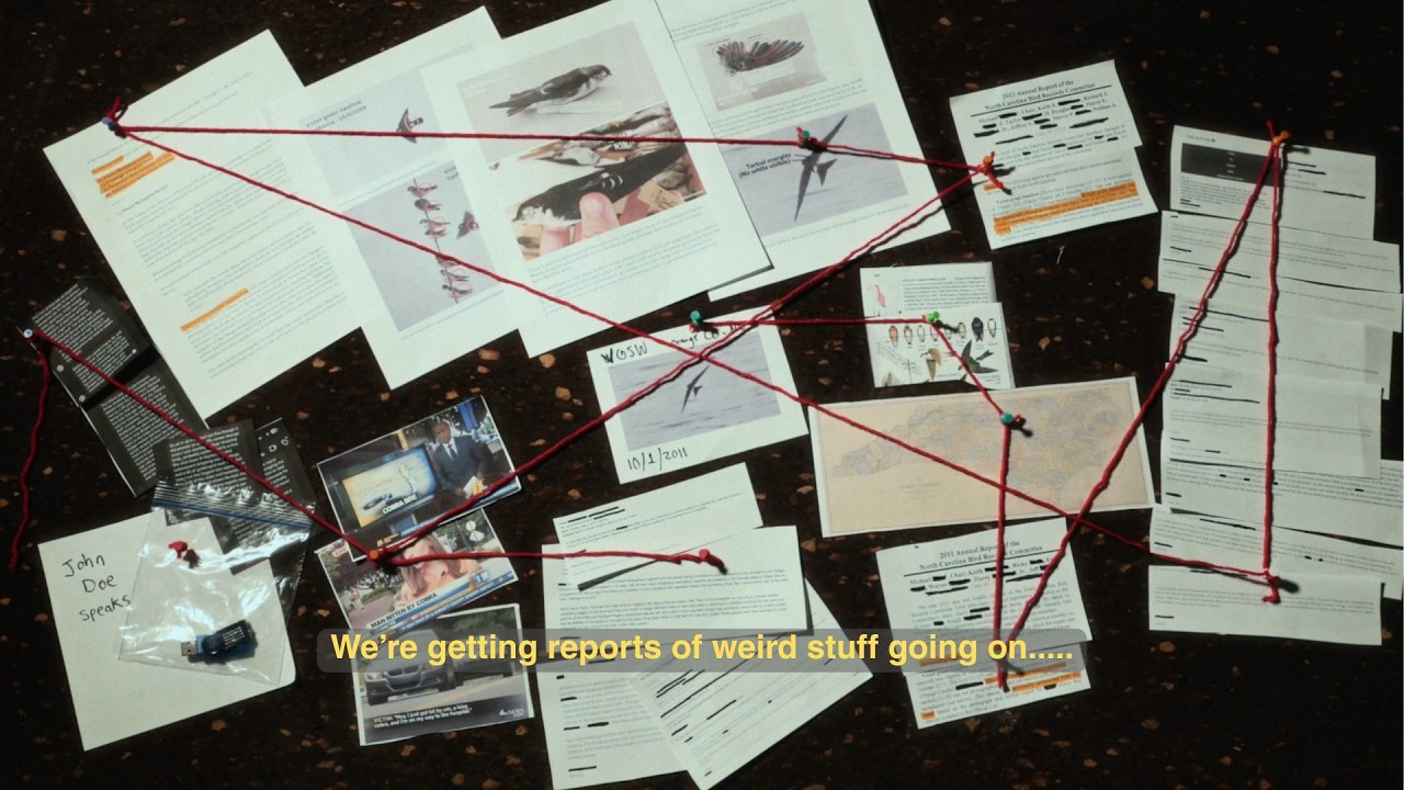 'SWALLOWGATE' Birdwatching Scandal | LISTERS (Movie Clip)