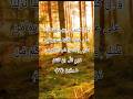 surat ul Baqara #dosa #quotes #motivation #bayan #sabr #duet #recitation #love #تيك_توك #quotes #lik