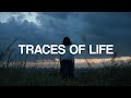 Traces of Life