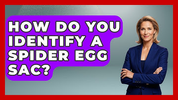 How Do You Identify A Spider Egg Sac? - Insects and Invaders