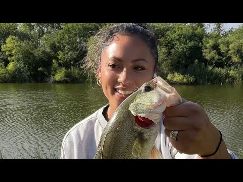 Late afternoon bass fishing from the backyard  on the Ned rig