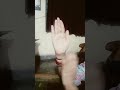 pehla tu duja tu teja tu chotha.. trending# song
