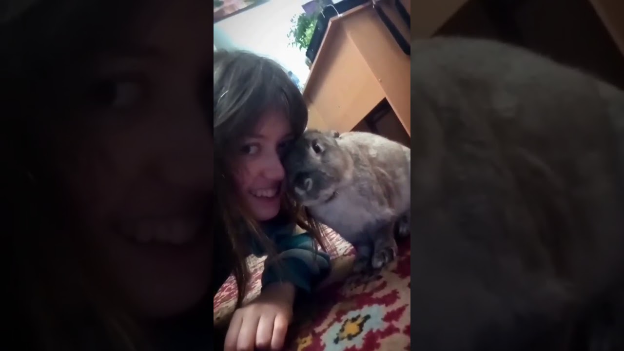 Коча умер. Ему было 6 лет.. 