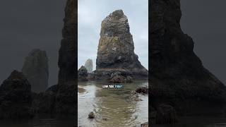 June 17, 2026: Minus 1.7 foot low tide. Cannon Beach, Oregon