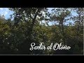 Sentir el otoño, Sierra de Aracena y Picos de Aroche, Huelva