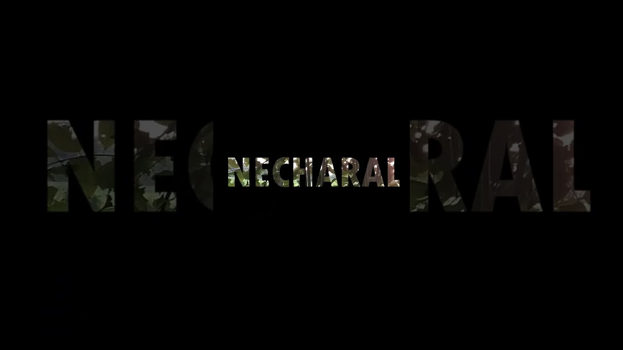 The Cinematic & Photorealistic Reveal (High-End / Premium)