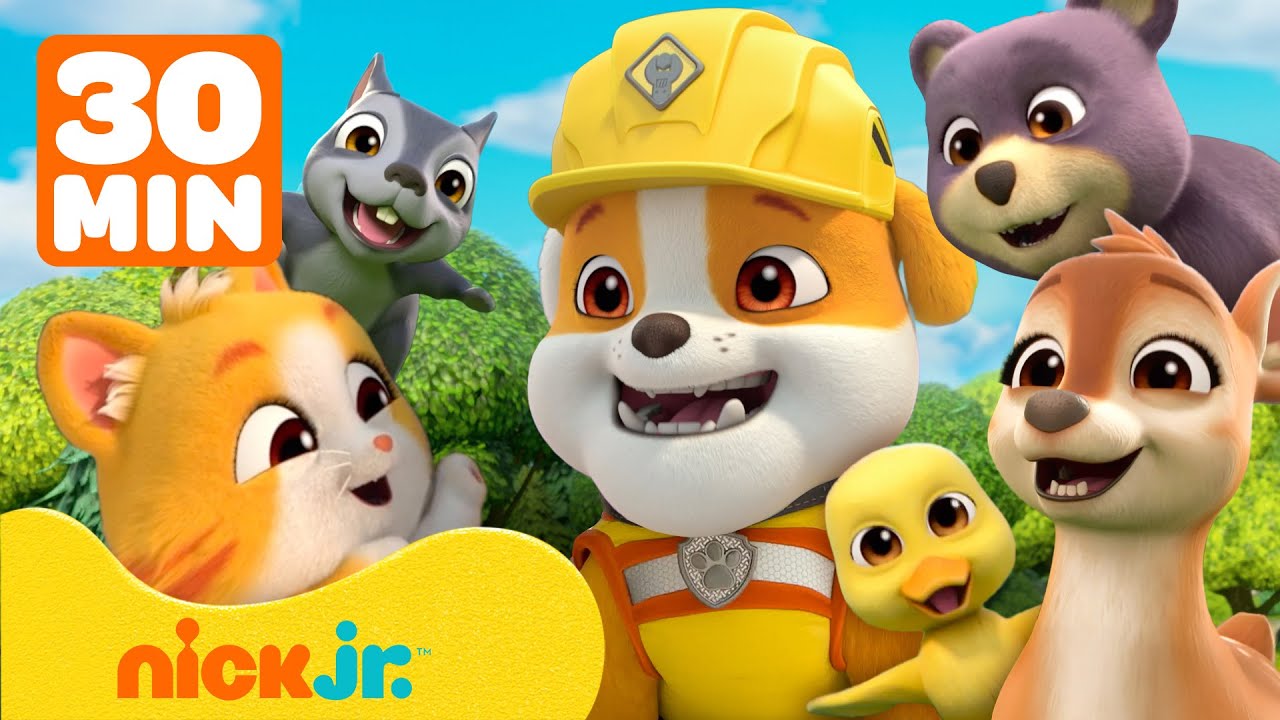 Rubble & Crew | ¡Rubble rescata animales tiernos en Builder Cove! | 30 minutos | Nick Jr. en Español