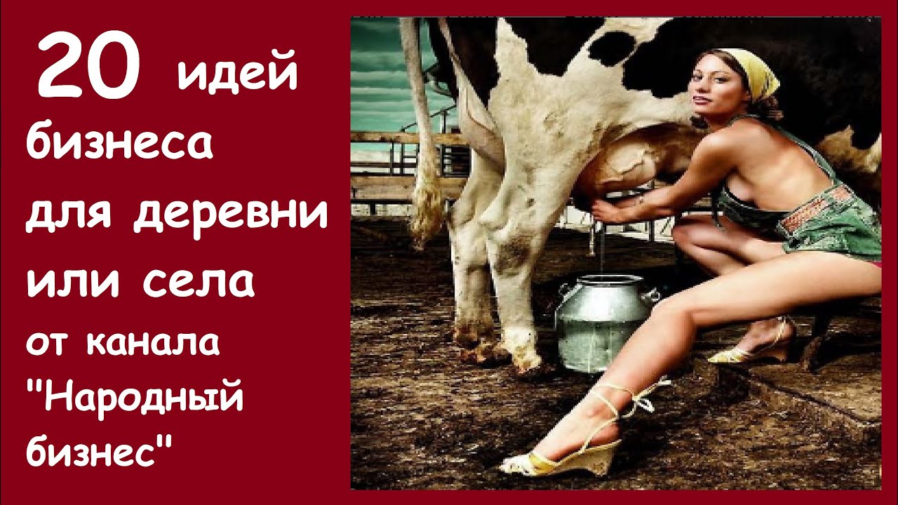 20 ИДЕЙ БИЗНЕСА ДЛЯ ДЕРЕВНИ И СЕЛА. Способы заработка денег и бизнес идеи