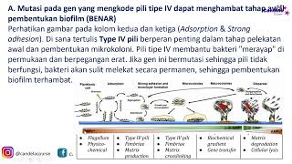 DISCUSSION OF OSN K Biology 2025 QUESTIONS #2