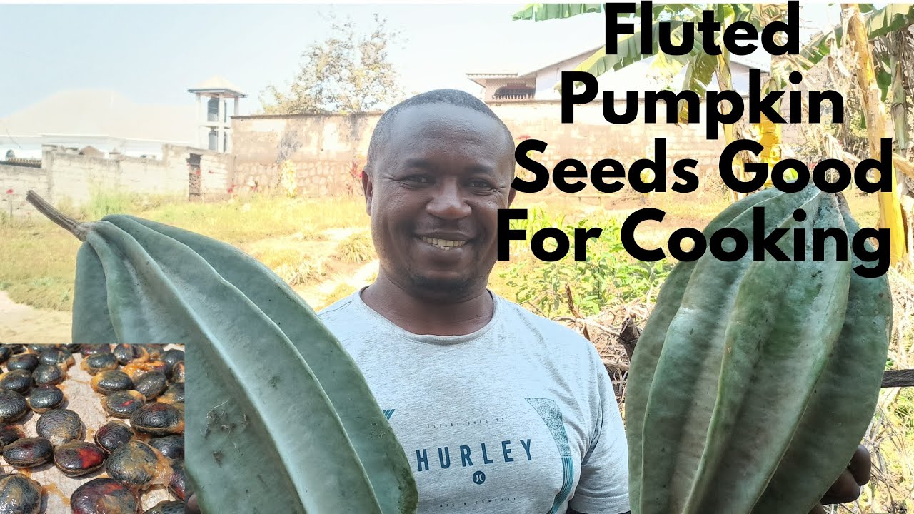 Как обработать рифленые семена тыквы для приготовления пищи.