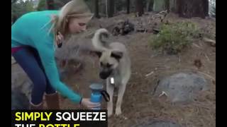 Dog Squeeze Water Bottle