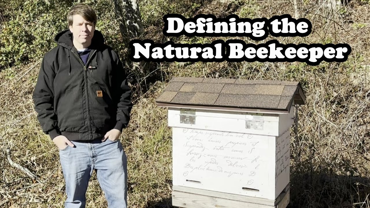 Определение понятия «пчеловод-натуралист»