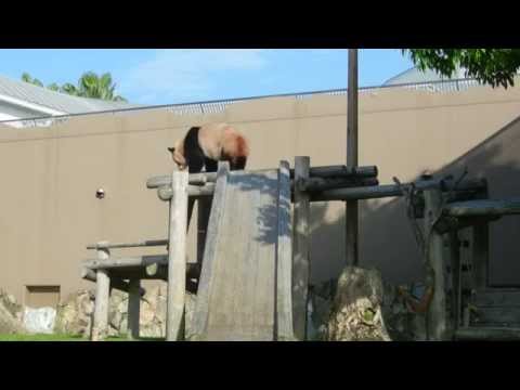20140518　陽浜、そっちじゃなくて、そうそうそうGood!