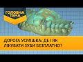 Дорога усмішка: де і як лікувати зуби безплатно? (Випуск 113) | Головна тема