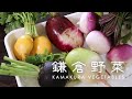 【鎌倉野菜】を買いに鎌倉市農協連即売所へ行ってきました🥬//KAMAKURA VEGETABLES【 Kamakura Farmers Market 】