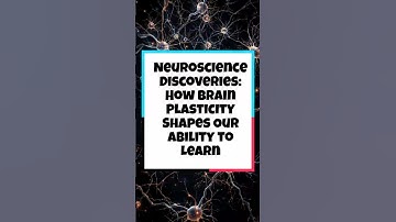 Neuroscience Discoveries: How Brain Plasticity Shapes Our Ability to Learn