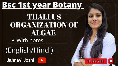 Thallus organization of algae: notes;Bsc 1st year Botany