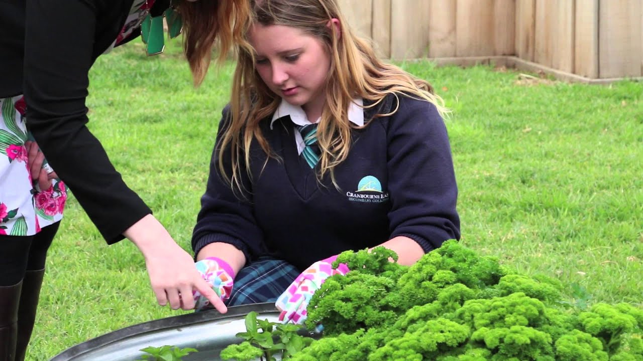 How does your garden grow? - YouTube