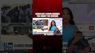 Bro how is this legal or not treason?