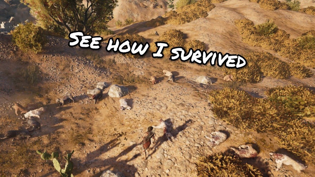 AC Odyssey When Lynx Attack YouTube
