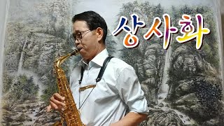 '상사화 (相思花)'   색소폰 연주(공피리) Alto Saxophone Cover