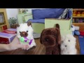 End of video