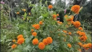 KOMANDO BELA NEGARA (KBN -BMI) BERSAMA PEMBINA KBN - BMI MINUT || MENIKMATI ALAM CIPTAAN TUHAN