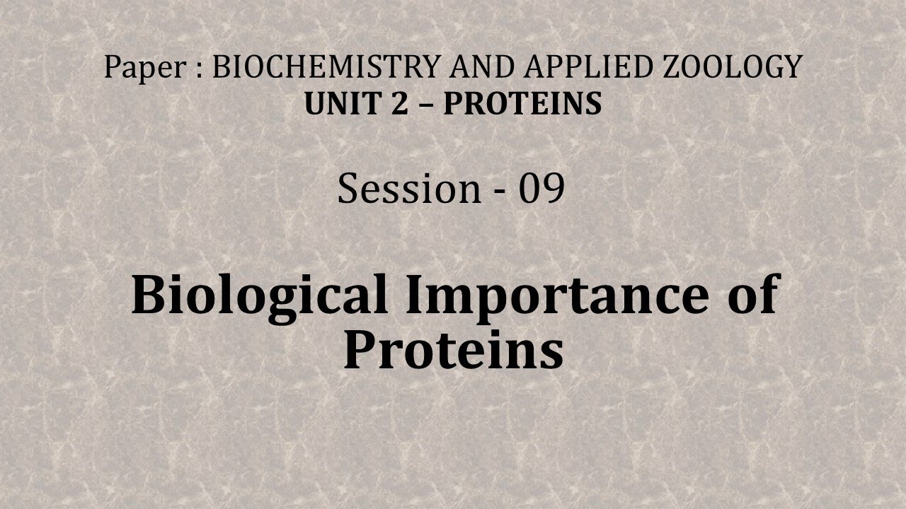 Biochemistry Session 09 Biological importance of proteins YouTube
