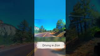 What I Wasn't Prepared For Driving Through Zion #zion #travel #shocking