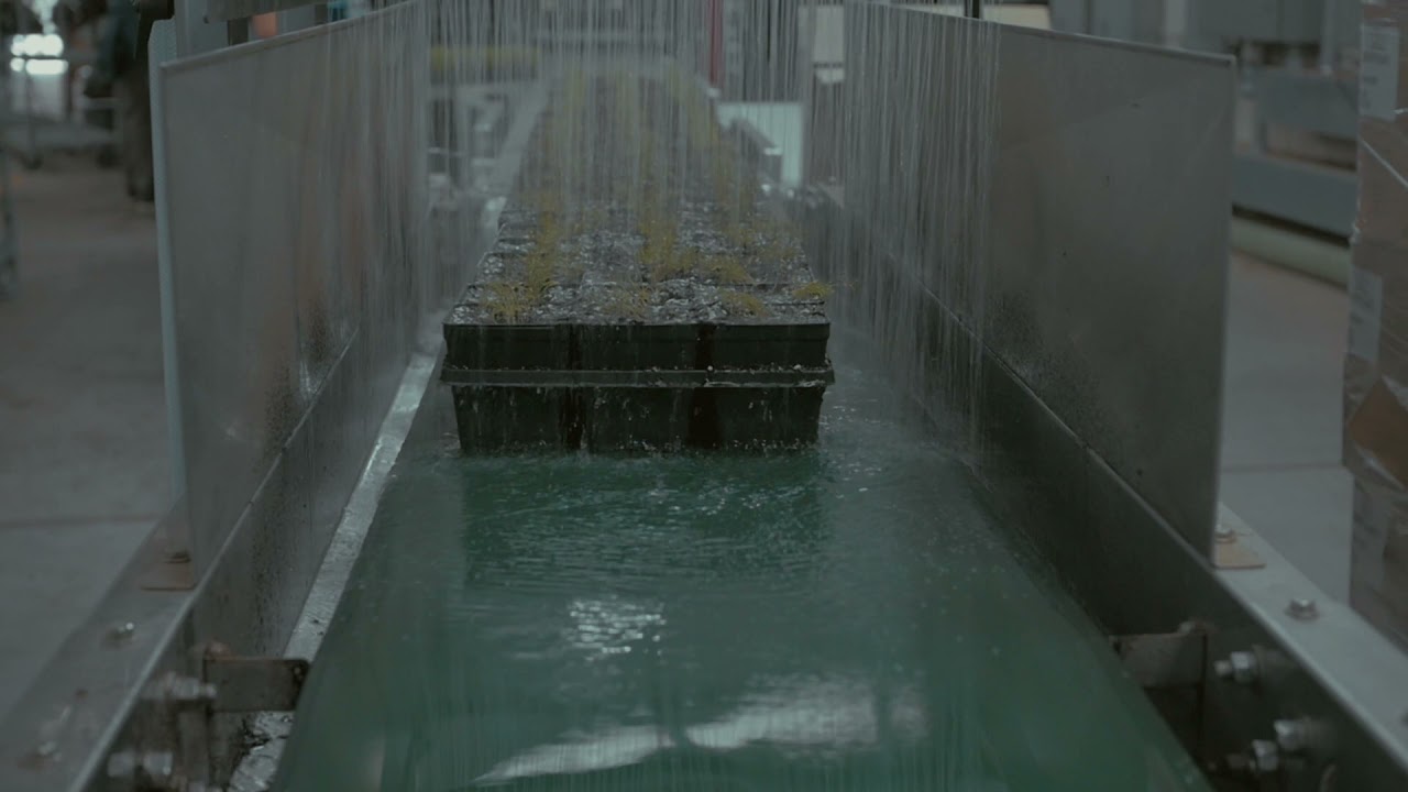 The Growers Exchange Warehouse