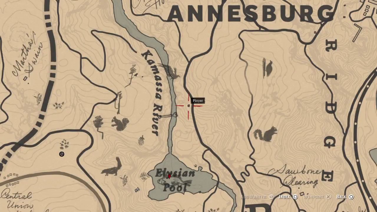 Red Dead Redemption 2 American Robin bird location