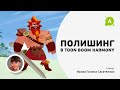 Полишинг в Toon Boom Harmony