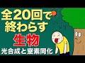 [4/20] 生物 〜光合成と窒素同化〜　どこまで覚えればいいのか分からないゾーン