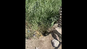 عزبة سكينة الاسكندرية مصر الحبيبة 