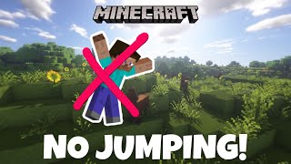 Minecraft But If I Jump, The Video Ends...