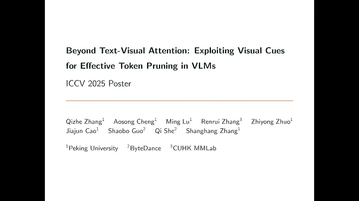 [ICCV 2025] VisPruner