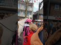 ذكرى سنتر كلاس في هولندا