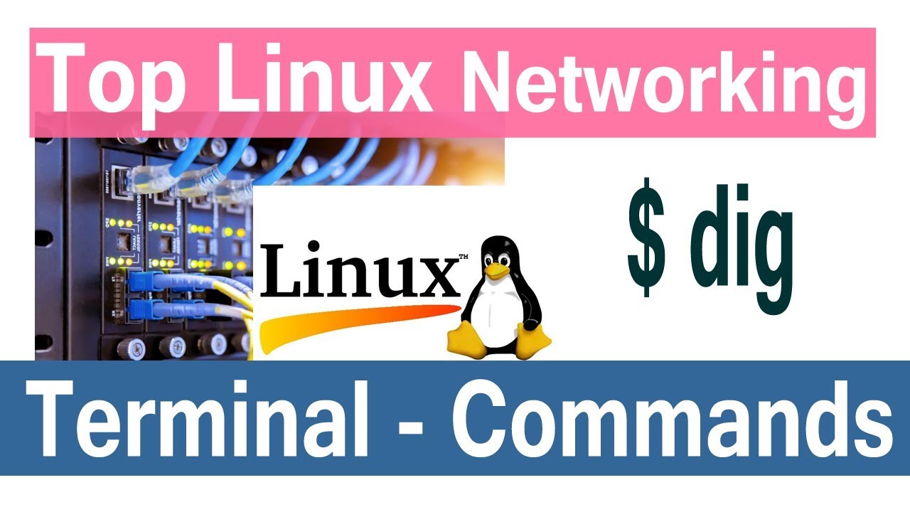 Linux Networking Command | Linux tutorial for beginners and experienced ...