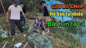 Câu rô phi tại hồ bán tự nhiên ( bài mồi siêu quấn ổ)