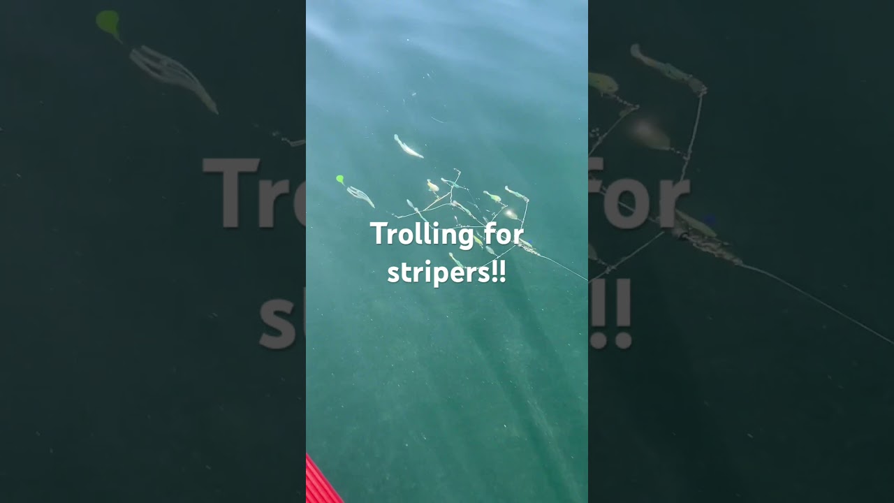 Trolling Umbrella rigs for stripers.  Custom made triple