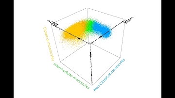 Blood Monocyte subsets in clinical practice - Invited Speaker - Daniela Damasceno