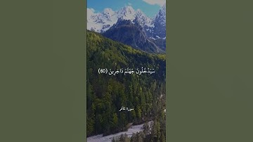 وَقَالَ رَبُّكُمُ ادْعُونِي أَسْتَجِبْ لَكُمْ ۚ|| سورة غافر || علي جابر