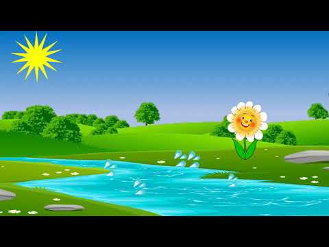 ამაყი ყვავილი და ნაკადული