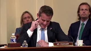 Republican Kinzinger will not seek re-election