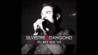 Tu Rey Soy Yo, Silvestre Dangond & Rolando Ochoa - Audio chords sheet