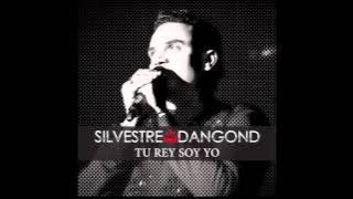 Tu Rey Soy Yo, Silvestre Dangond & Rolando Ochoa - Audio